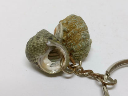 LP888 Rare Vintage Natural Seashells Art & Craft Souvenir Keychain Keyring F/S (B771)