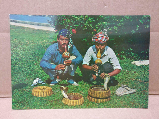 LUCKYPIGEON Snake Charmers Cobra Snakes Indian Men Singapore Postcard (C1968)