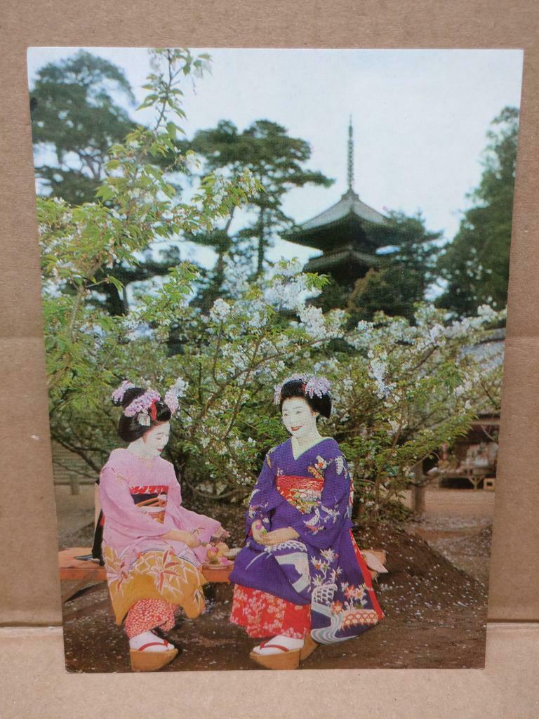 LUCKYPIGEON Maiko In Omuro Ninnaji Temple Kyoto Japan Postcard (C1963)