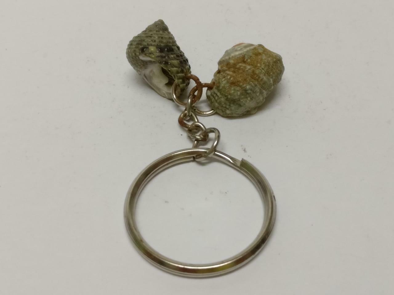 LP888 Rare Vintage Natural Seashells Art & Craft Souvenir Keychain Keyring F/S (B771)