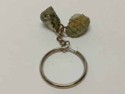LP888 Rare Vintage Natural Seashells Art & Craft Souvenir Keychain Keyring F/S (B771)
