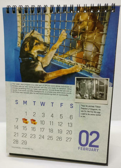 SPCA Through The Years Singapore Pets Cat and Dog Animals 2016 Calendar (A2079)