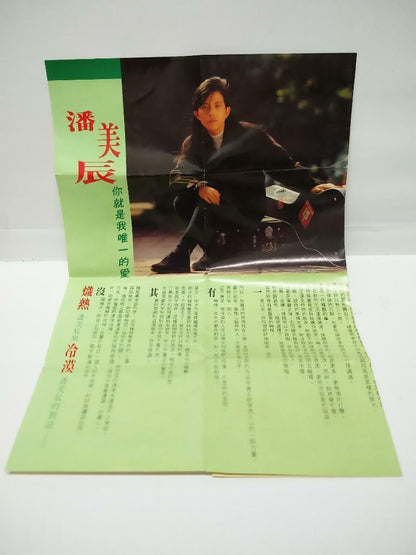 Taiwan Pan Mei Chen 潘美辰 你就是我唯一的愛 磁带 卡带 1990 Singapore Chinese Cassette (CT106)