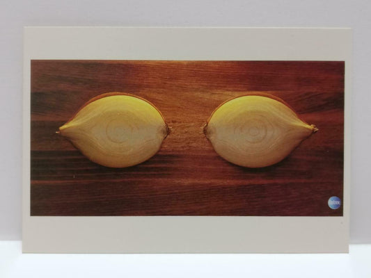 LUCKYPIGEON888 Two Onions Plant Vegetable Singapore Ad Postcard (E0177)
