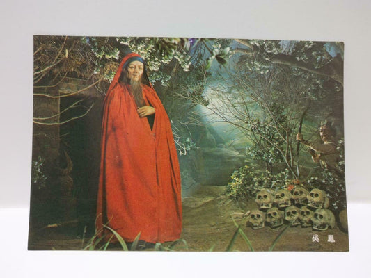 Vintage Chinese Culture & Movie Center Wu Feng China Color Skull Postcard (P690)