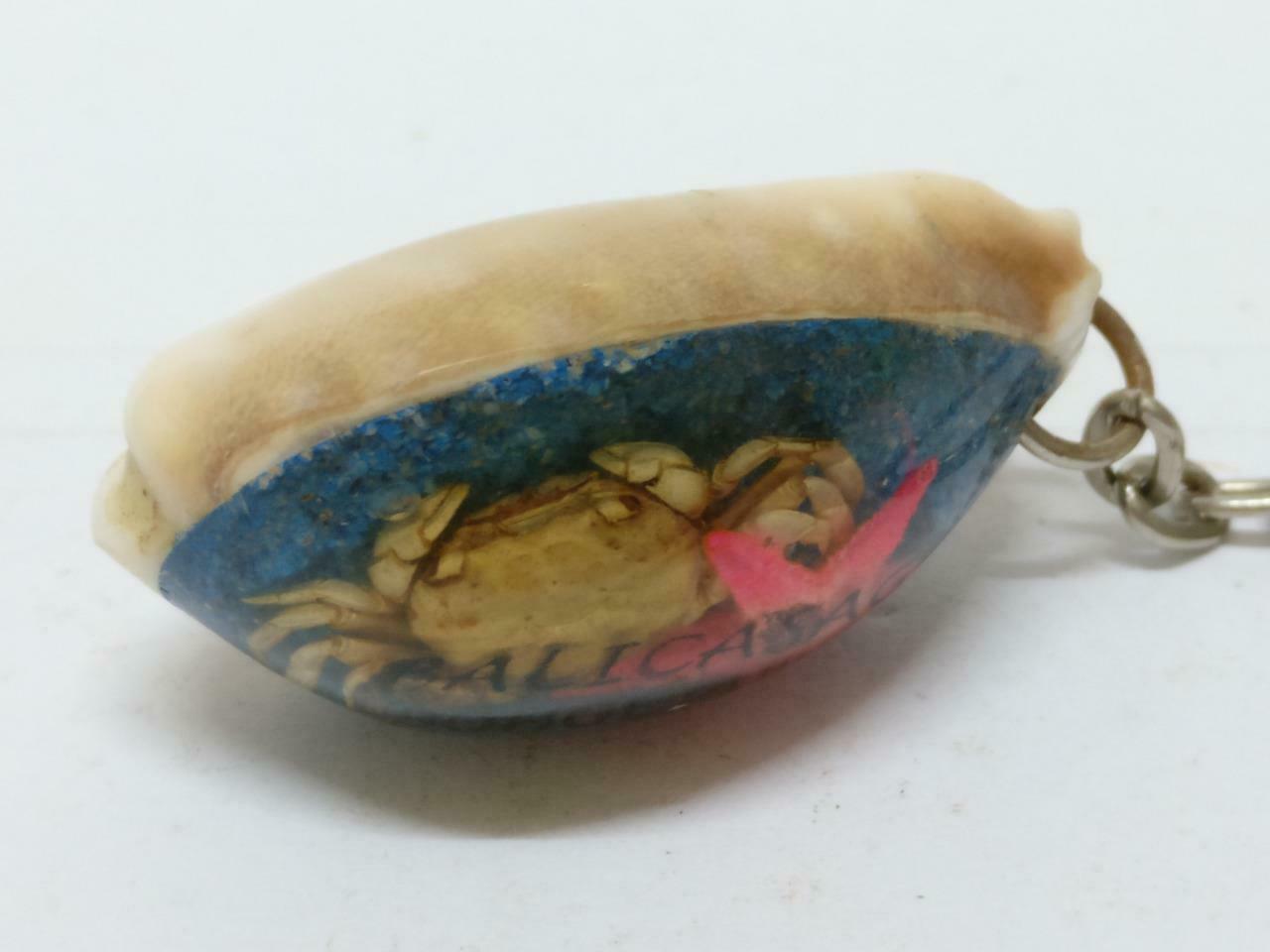 LP888 Rare Vintage Philippines Balicasag Seashell Art Crab Keychain Keyring F/S (B675)