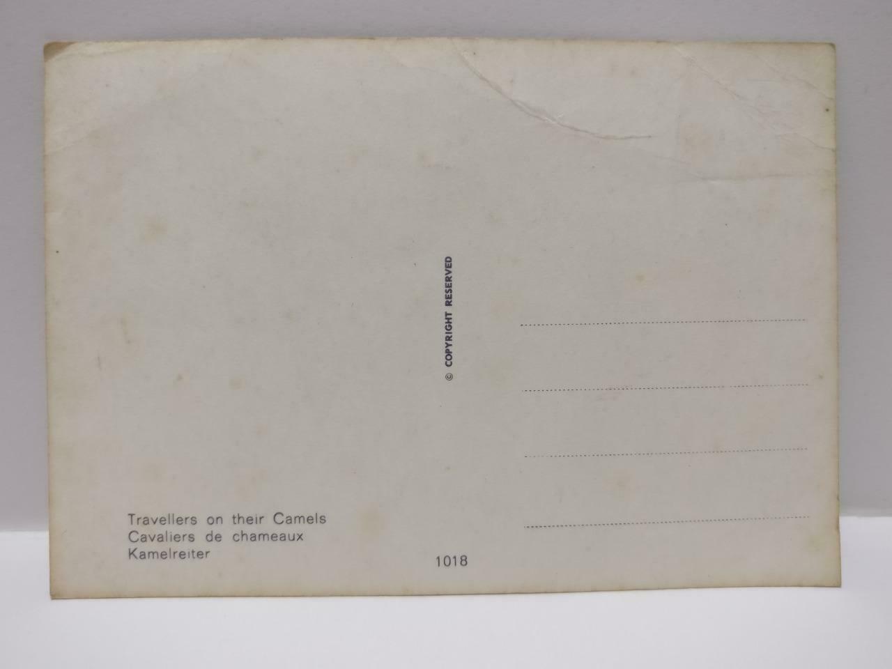 Vintage Kamelreiter Travellers On Their Camels Postcard (P870)