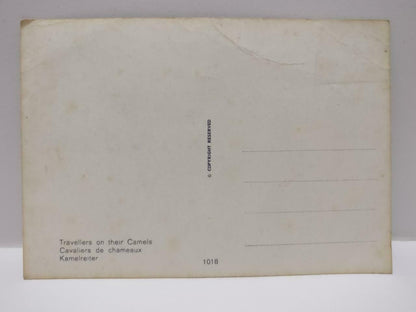 Vintage Kamelreiter Travellers On Their Camels Postcard (P870)