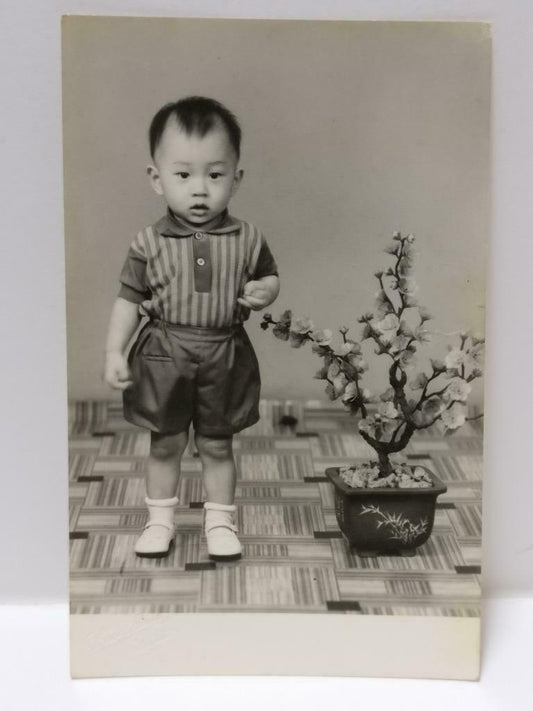 Vtg Asian Chinese Cute Boy Toddler Stand Beside Plant Portrait B&W Photo (P360)