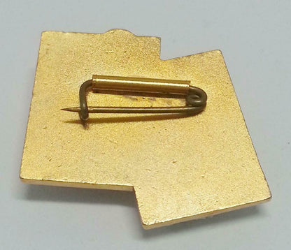 Rare Vintage Japan Lions Club International Japanese Words Pin Badge F/S (B148)