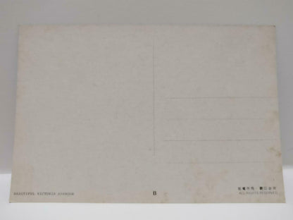 Vintage Hong Kong Beautiful Scenery Of Victoria Habour 維多利亞港 Postcard (P818)