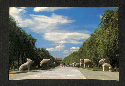 LUCKYPIGEON China Beijing Ming Tombs Elephant Sculptor Statues Postcard (C1531)