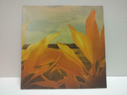 Taiwan Soda Green Band 苏打绿 春日光 2009 Rare Singapore Chinese CD CD1072