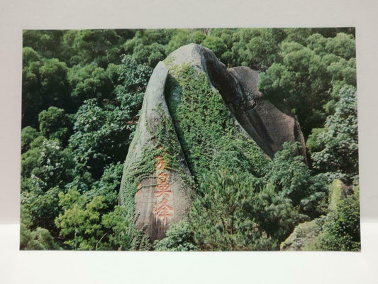 Vintage China Xiamen Proboscis Peak Elephant Nose Peak 象鼻峰 Tree Postcard (P787)