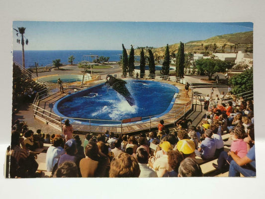 Vintage Hanna-Barbera Marineland Of The Pacific Oceanarium Color Postcard (P621)