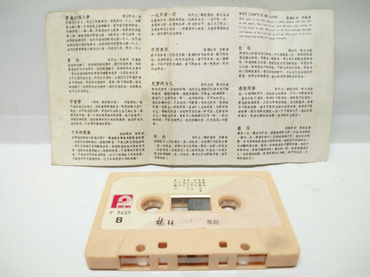 Taiwan Diana Yang Ling 楊林 杨林 带着心痛入梦 卡帶 磁帶 1987 Rare Singapore Cassette (CT080)