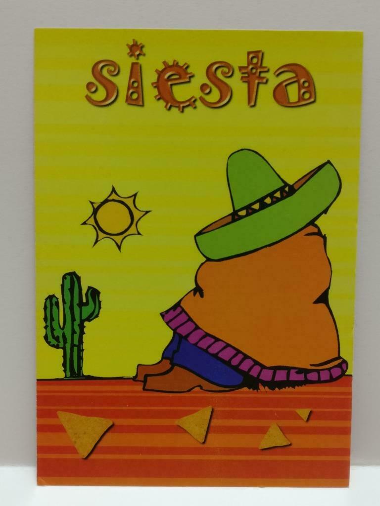 LUCKYPIGEON888 Mexican Sombrero Hat Catus Siesta 1999 Singapore Postcard (E0140)