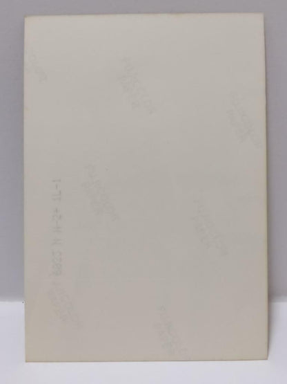 Vintage Singapore Actor 陈天文 Chen Tian Wen Signed Autograph Photo F/S (P018)