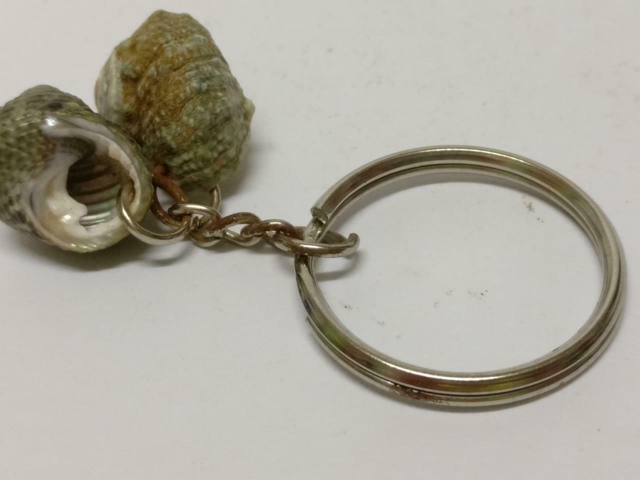 LP888 Rare Vintage Natural Seashells Art & Craft Souvenir Keychain Keyring F/S (B771)