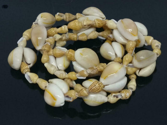 Vintage Beautiful Sea Beach Seashells Shells Accessories 34" Necklace F/S (J524)