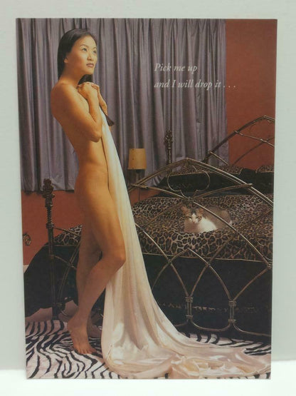 LUCKYPIGEON888 Sexy Legs Cheesecake Woman Cat Bed Singapore Ad Postcard (E0225)