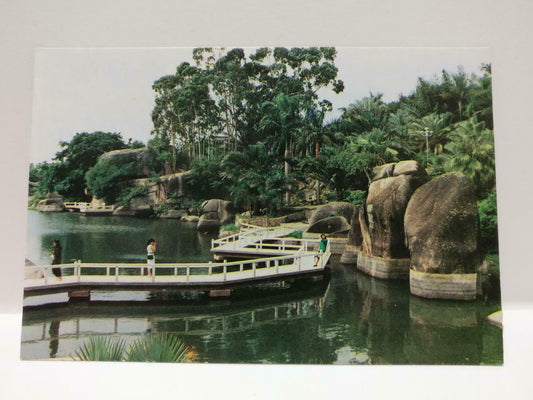 Vintage China Fujian Wan Shi Yan 万石岩天趣桥 Natural Trees & Bridge Postcard (P813)