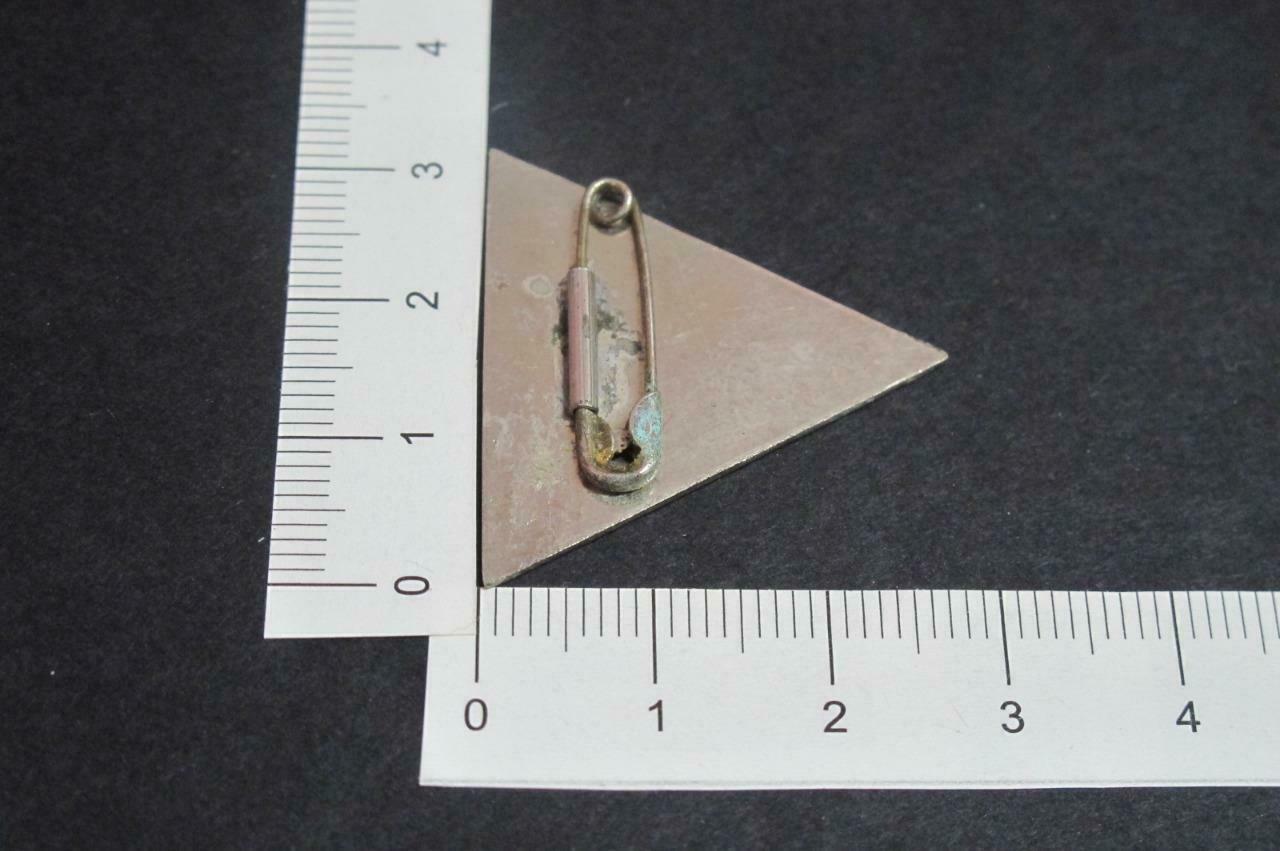Rare Vintage Singapore Chinese High School 南洋华侨中学 Pin Badge F/S (A051)