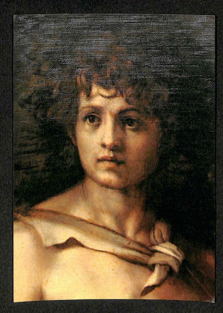 LUCKYPIGEON Andrea Del Sarto St. Jean Baptiste Portrait Italy Postcard (C1807)