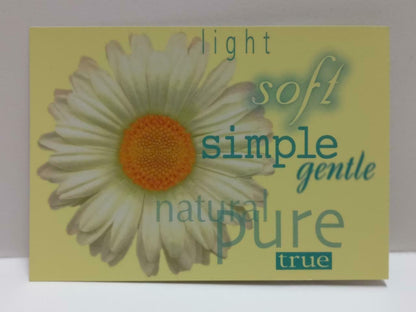 LUCKYPIGEON888 White Daisy Flower Yellow Singapore Ad Postcard (E0230)