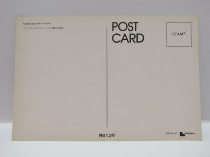 Vtg Hong Kong Beautiful Dusk Scene of Victoria 維多利亞城 夜景 Building Postcard (P772)