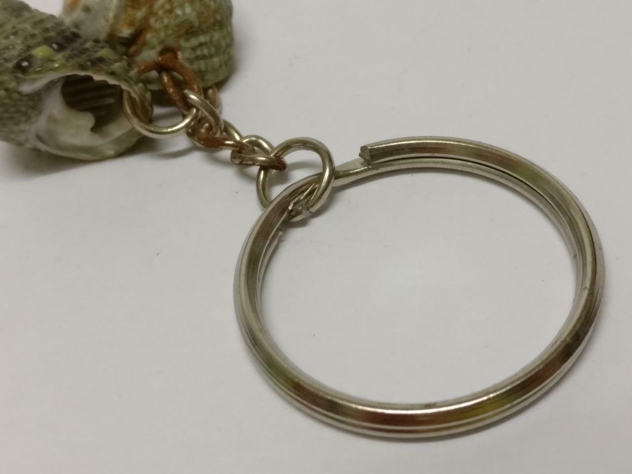 LP888 Rare Vintage Natural Seashells Art & Craft Souvenir Keychain Keyring F/S (B771)
