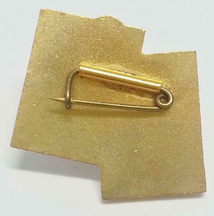Rare Vintage Japan Lions Club International Japanese Words Pin Badge F/S (B148)