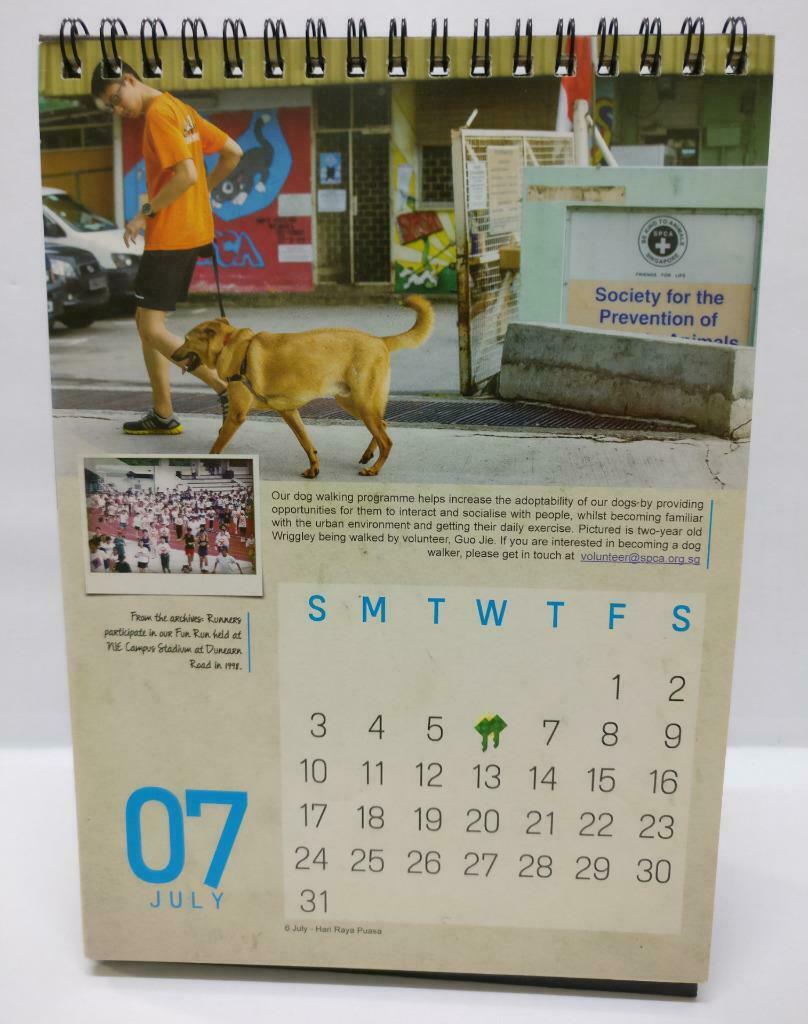 SPCA Through The Years Singapore Pets Cat and Dog Animals 2016 Calendar (A2079)