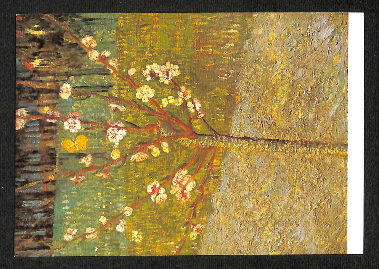 LUCKYPIGEON Vincent Van Gogh Almond Tree In Bloom Netherlands Postcard (C1606)