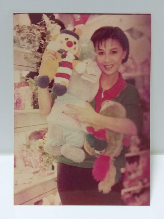 Vintage Hong Kong Actress Carina Lau 劉嘉玲 刘嘉玲 & Soft Toys Photo F/S (P110)