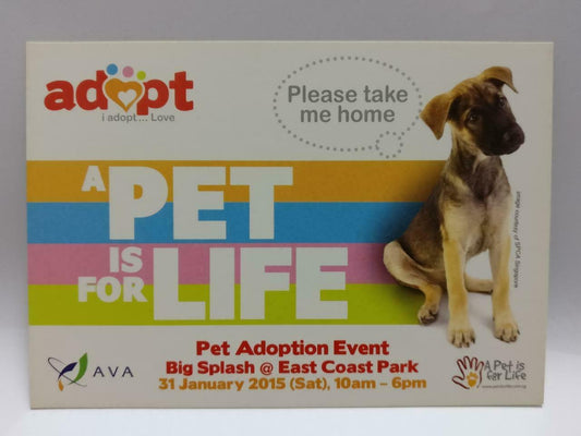 LUCKYPIGEON888 Pet Adoption Event Cute Dog 2015 Singapore Ad Postcard (E0049)