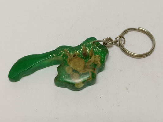 LP888 Vintage Green Acrylic Sea Creature Crab Seashell Keychain Keyring F/S (B797)